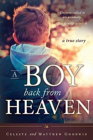 A Boy Back From Heaven by Celeste Goodwin, Celeste Goodwin