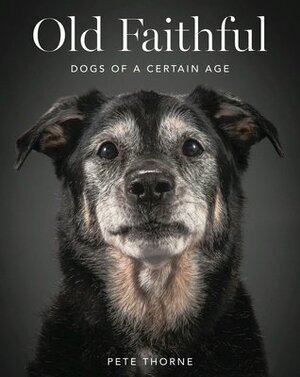 Old Faithful: Dogs of a Certain Age by Pete Thorne