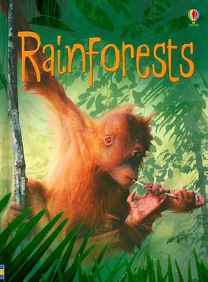 Rainforests by Catriona Clarke, Lucy Beckett-Bowman