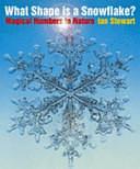 What Shape is a Snowflake? by Ian Stewart