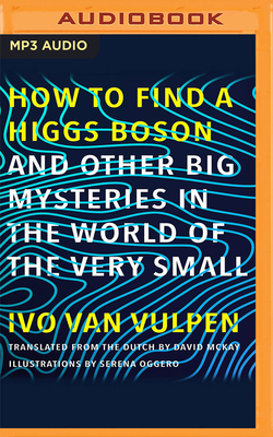 How to Find a Higgs Boson: And Other Big Mysteries in the World of the Very Small by Ivo Vulpen