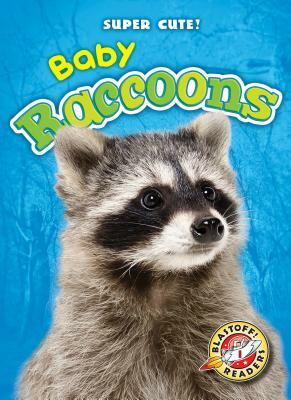 Baby Raccoons by Megan Borgert-Spaniol