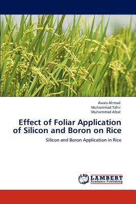 Effect of Foliar Application of Silicon and Boron on Rice by Awais Ahmad, Muhammad Tahir, Muhammad Afzal