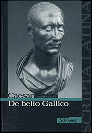 De bello Gallico by Benedikt van Vugt, Gaius Julius Caesar, Jörgen Vogel