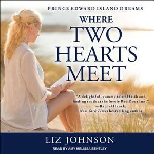 Where Two Hearts Meet by Liz Johnson