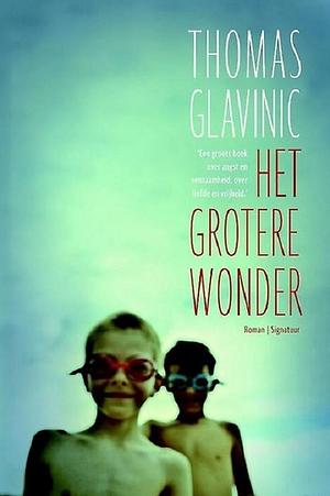 Het grotere wonder by Thomas Glavinic