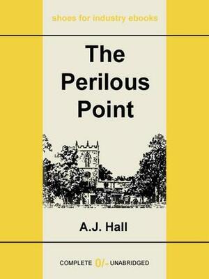 The Perilous Point by A.J. Hall