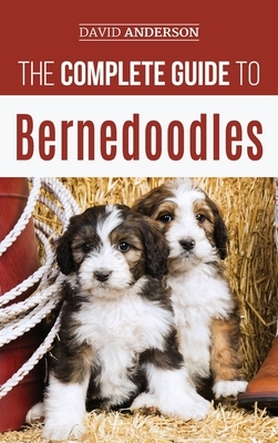 The Complete Guide to Bernedoodles: Everything you need to know to successfully raise your Bernedoodle puppy! by David Anderson