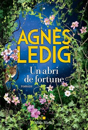 Un abri de fortune by Agnès Ledig