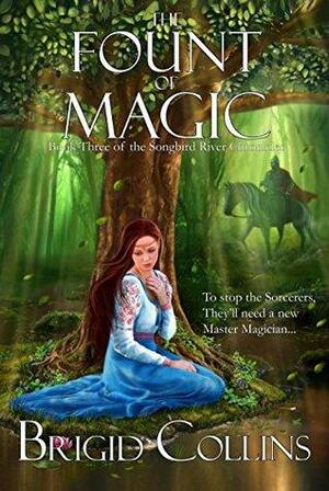 The Fount of Magic by Brigid Collins