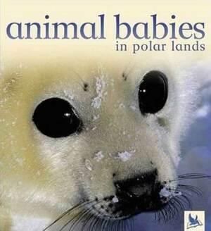 Animal Babies in Polar Lands by Kingfisher Publications, Kingfisher Publications