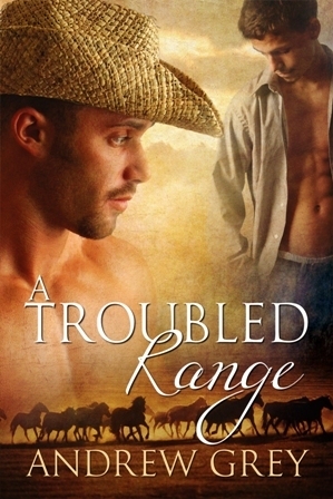 A Troubled Range by Andrew Grey