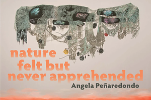 Nature Felt But Never Apprehended by Angela Peñaredondo