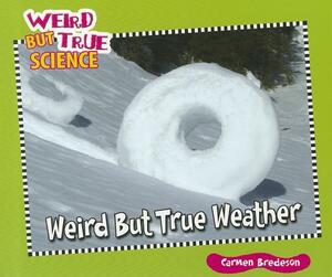 Weird But True Weather by Carmen Bredeson