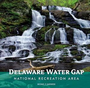 Delaware Water Gap National Recreation Area by Michael P. Gadomski