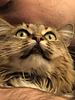 tragiclocal's profile picture