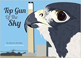 Top Gun of the Sky by Josephine Chadwick, Simon Chadwick, Bradley Martin