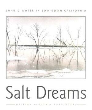 Salt Dreams: Land and Water in Low-Down California by William Debuys