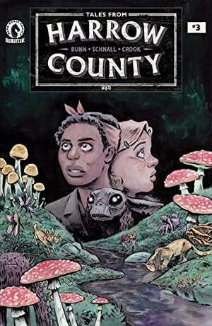 Tales from Harrow County: Fair Folk #3 by Cullen Bunn, Emily Schnall