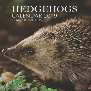 Hedgehogs Calendar 2019: 16 Month Calendar by Mason Landon