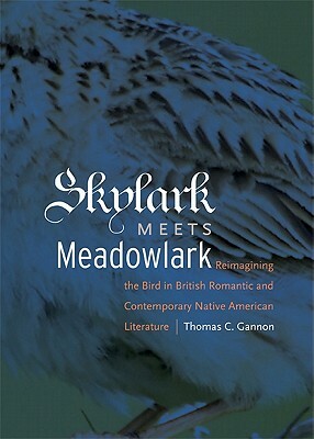 Skylark Meets Meadowlark: Reimagining the Bird in British Romantic and Contemporary Native American Literature by Thomas C. Gannon