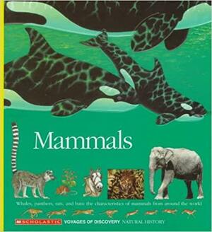 Mammals: Whales, Panthers, Rats, and Bats: The Characteristics of Mammals from Around the World by Gallimard Jeunesse