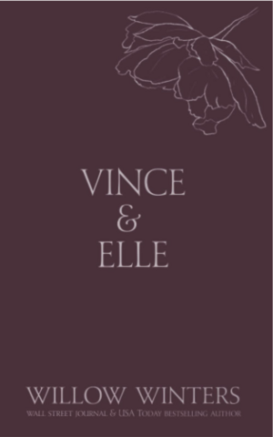 Vince & Elle: The Discreet Series (His Hostage) by Willow Winters