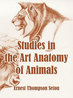 Studies in the Art Anatomy of Animals by Ernest Thompson Seton