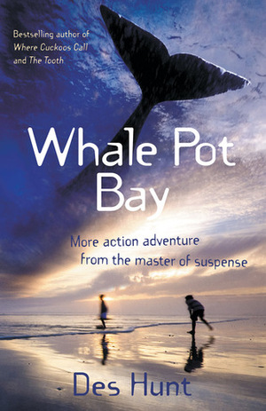 Whale Pot Bay by Des Hunt