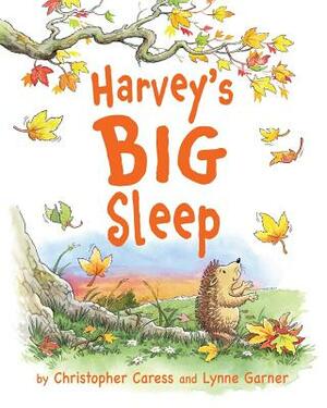 Harvey's BIG Sleep by Lynne Garner, Christopher Caress