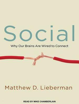 Social: Why Our Brains Are Wired to Connect by Matthew D. Lieberman