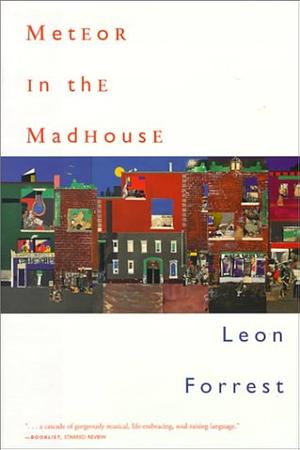 Meteor in the Madhouse by Leon Forrest, Marianne Forrest, Merle Drown