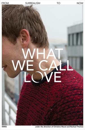 What We Call Love by Georges Sebbag, Rachael Thomas, Eva Illouz, Christine Macel