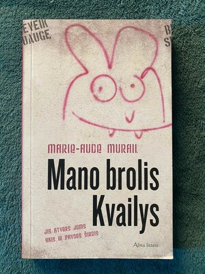 Mano brolis Kvailys by Marie-Aude Murail