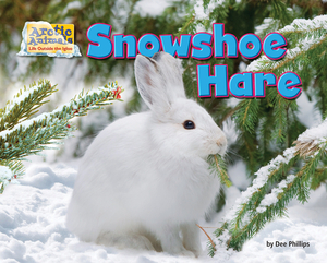 Snowshoe Hare by Dee Phillips