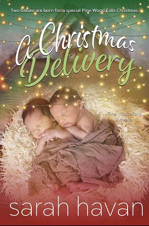 A Christmas delivery by Sarah Havan