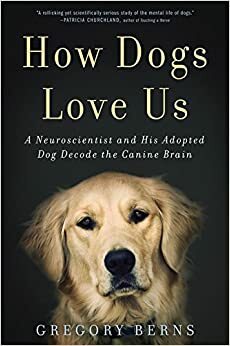 Kaip šunys mus myli: neuromokslininkas atskleidžia šuns smegenų paslaptis by Gregory Berns