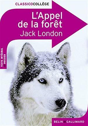 L'Appel de la forêt by Jack London