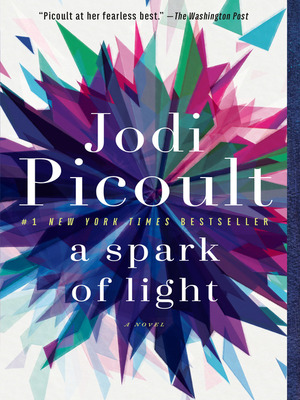 A Spark of Light by Jodi Picoult