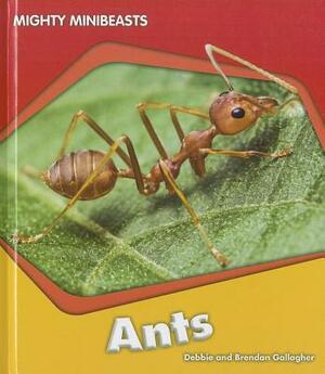 Ants by Debbie Gallagher, Brendan Gallagher