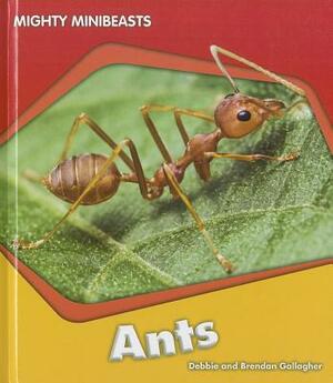 Ants by Brendan Gallagher, Debbie Gallagher