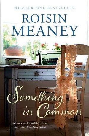 Something in Common: A heart-warming, emotional story of female friendship by Roisin Meaney, Roisin Meaney