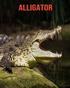 Alligator: Learn About Alligator and Enjoy Colorful Pictures by Matilda Leo