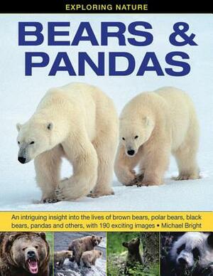 Exploring Nature: Bears & Pandas: An Intriguing Insight Into the Lives of Brown Bears, Polar Bears, Black Bears, Pandas and Others, with 190 Exciting by Michael Bright
