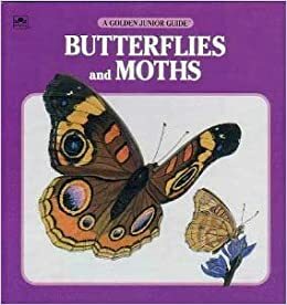Butterflies and Moths by George S. Fichter