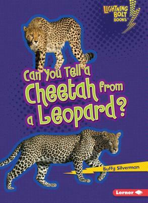 Can You Tell a Cheetah from a Leopard? by Buffy Silverman