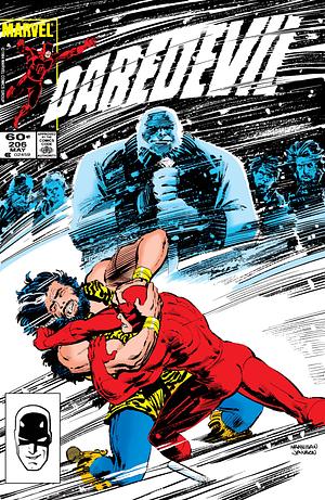 Daredevil (1964-1998) #206 by Denny O'Neil