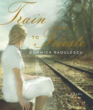 Train to Trieste by Domnica Radulescu