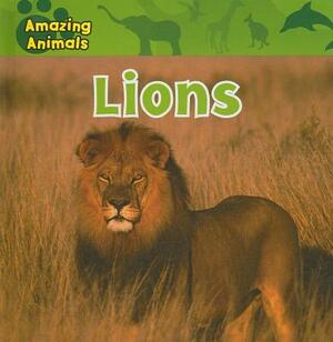 Lions by Sarah Albee