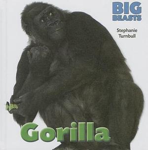 Gorilla by Stephanie Turnbull